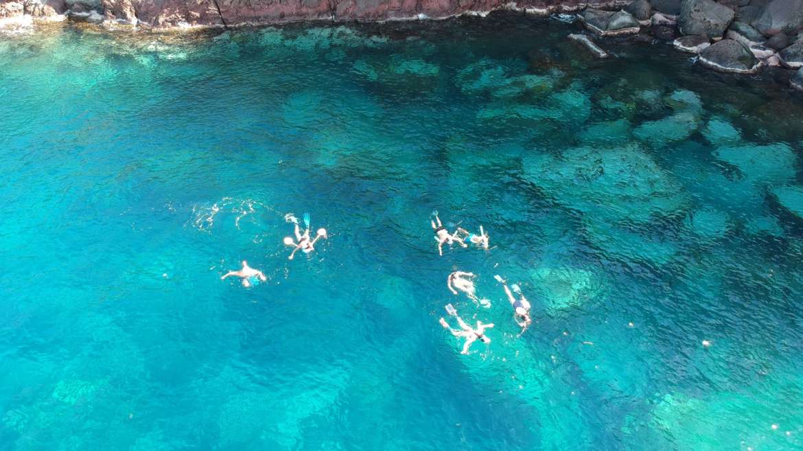 Snorkeling en famille avec les tortues dans les eaux turquoises depuis notre cat…